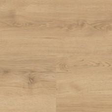 Італійський дуб пісочний